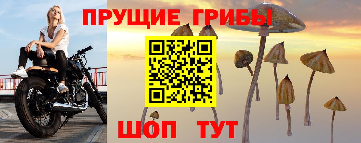 Псилоцибиновые грибы Magic Shrooms  Вход с VPN  Химки 